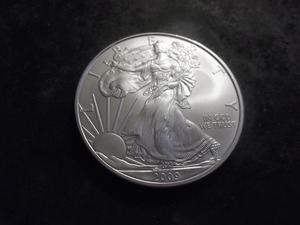 2009 US Silver Eagle Dollar 1 Oz. 99.0 Fine MS From Unc Roll