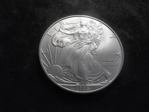 2009 US Silver Eagle Dollar 1 Oz. 99.0 Fine MS From Unc Roll