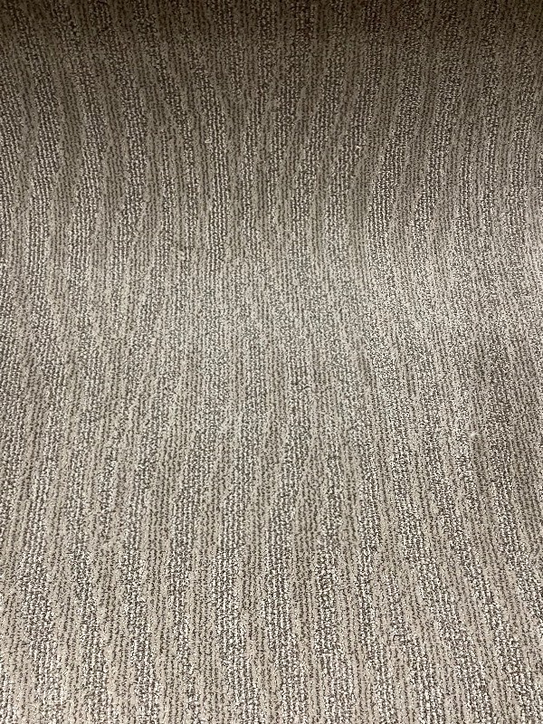 546 SF High End Karastan  Cut Loop Patterned Nylon Carpet  12 x 45.5