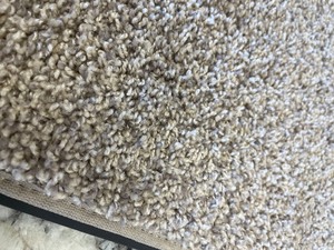 165 SF Mohawk Plush Carpet Rem. Fleck color 12 x 13 9