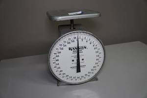 lot 25 image: Hanson 2060 Utility Scale - 60 Lb Capacity