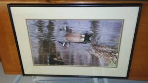 Duck Photograph Framed Roland Jordahl.