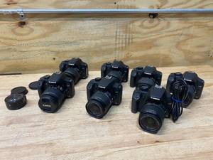 lot 145 image: CANON Lot of 7- EOS Rebel Cameras