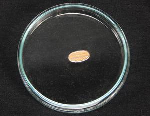 lot 34 image: Case of 12 Mercer Glass Works 75 x 10 MM Glass Petri Dishes With Covers - Made in Czechoslovakia