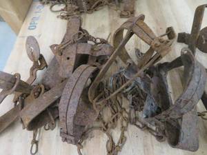 lot 95 image: TRAPS