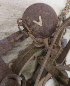 lot 96 image: TRAPS