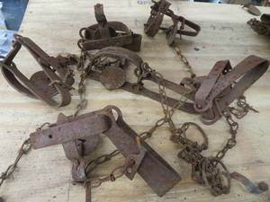 lot 97 image: TRAPS