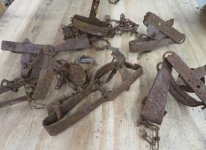 lot 98 image: TRAPS