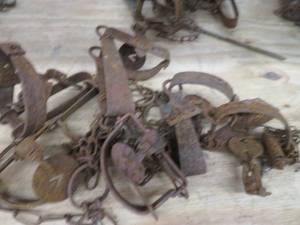lot 99 image: TRAPS