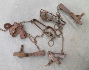 lot 100 image: TRAPS