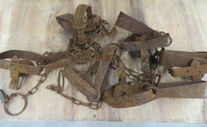 lot 101 image: TRAPS