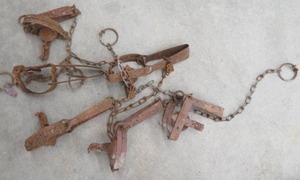 lot 102 image: TRAPS