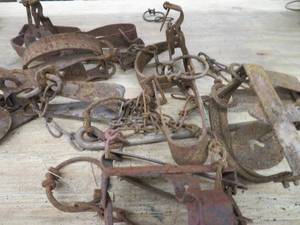 lot 104 image: TRAPS