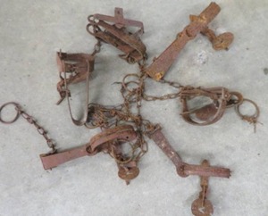 lot 105 image: TRAPS
