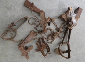 lot 106 image: TRAPS