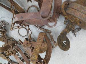 lot 108 image: TRAPS