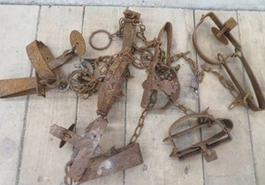 lot 110 image: TRAPS