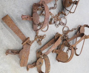 lot 111 image: TRAPS
