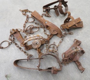 lot 113 image: TRAPS