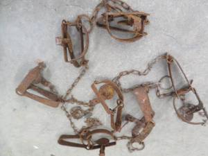 lot 114 image: TRAPS