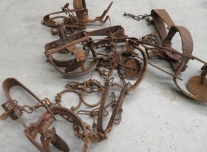 lot 115 image: TRAPS