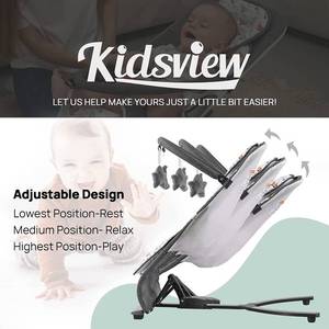 Kidsview Baby Bouncer