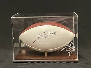 lot 53 image: Sidney Rice, MN Viking Autographed football in display case