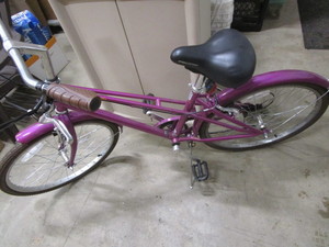Schwinn Mifflin Bicycle