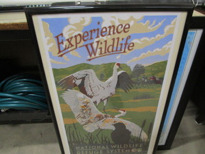 Wildlife Poster