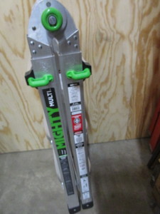 Folding Ladder