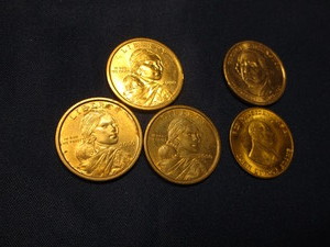 Sacajawea Dollars