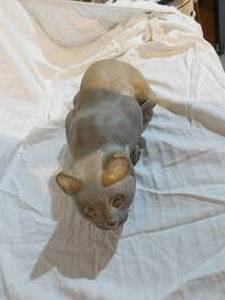 lot 222 image: Cement cat