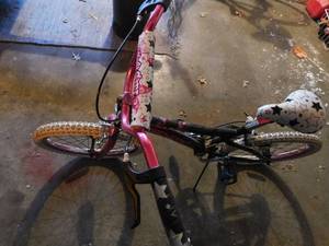 lot 389 image: Girls kids bike