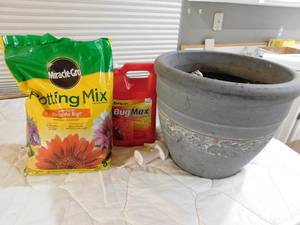 lot 31 image: Lg Pot, potting soil and bug spray