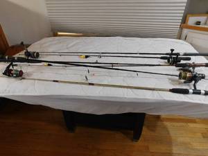 lot 140 image: 6 rods and 4 reels