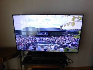 lot 302 image: 55 samsung TV & Bose TV speaker