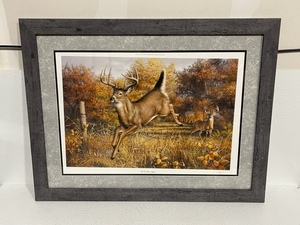 lot 20 image: Framed Wildlife Print