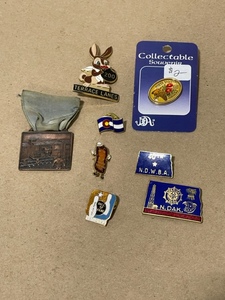 Collectible and Vintage Pins