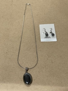 Matching Necklace and Earing Set