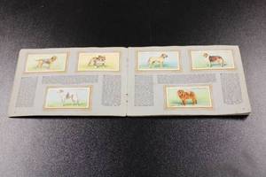 lot 187 image: 1937 Wills Cigarettes An Album of Dogs Complete Set See description