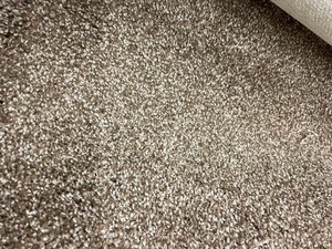 80 SF Nice thick Plush Carpet remnant 8.5 x 9.9