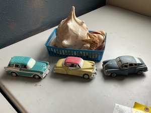 Seashells and Cars