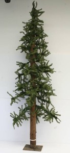 70 Tall Slim Christmas Tree