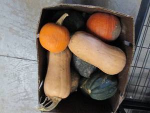 Box of Assorted Winter Squash...