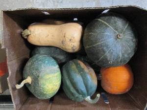 Box of Assorted Winter Squash...