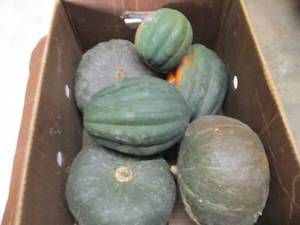 Box of Assorted Winter Squash...