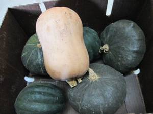 Box of Assorted Winter Squash...