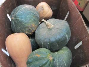 Box of Assorted Winter Squash...