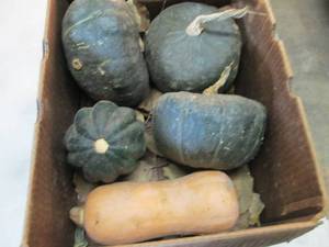 Box of Assorted Winter Squash...