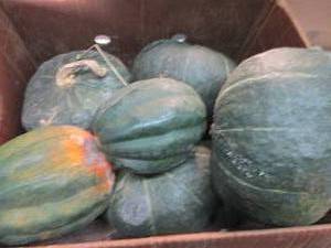 Box of Assorted Winter Squash...